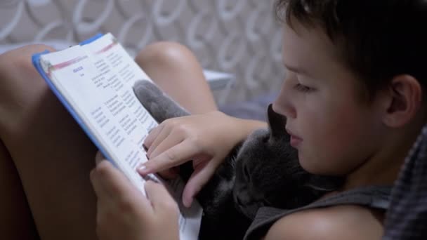 Serieuze jongen met glazen Lezen van een interessant boek met kat op handen thuis — Stockvideo