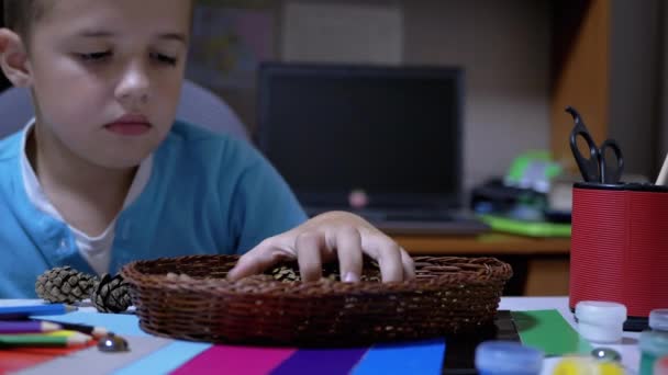 Talented Boy Holds Pine Cones in Hands and Colored Pencils. Online Learning — Stock Video