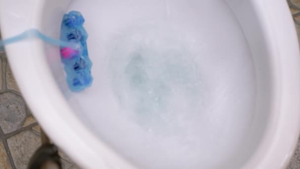 Processo de drenagem de água na tigela de toalete branco com desinfetante bola Freshener — Vídeo de Stock