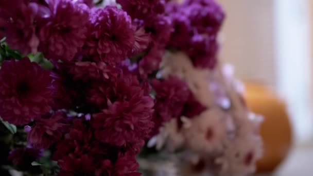 Bellissimo, lussureggiante Bouquet di crisantemi bianchi e viola negli interni della casa — Video Stock