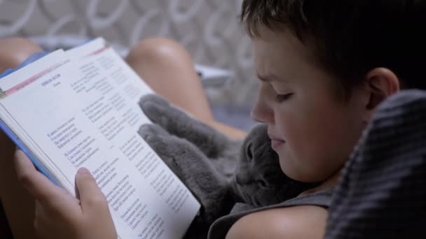 Serieuze jongen met glazen Lezen van een interessant boek met kat op handen thuis — Stockvideo