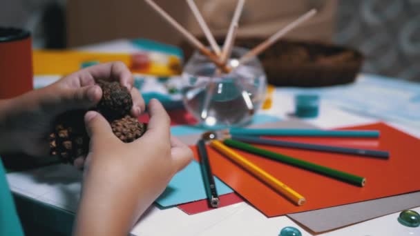 Talentvolle jongen houdt dennenappels in handen en kleurpotloden. Online leren — Stockvideo