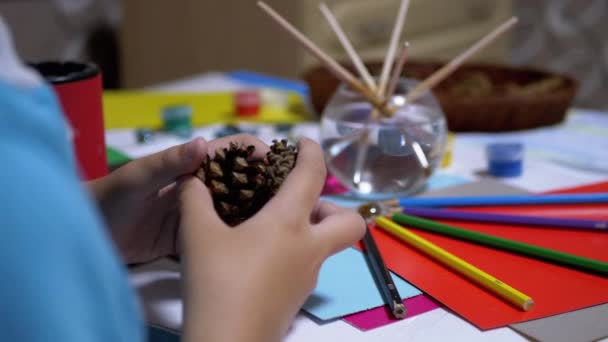 Talangfull pojke håller tallkottar i händer och färgade pennor. Online lärande — Stockvideo
