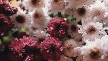 Güzel, bembeyaz bir buket, Mor Kasımpatılar İç Güvenlik 'te