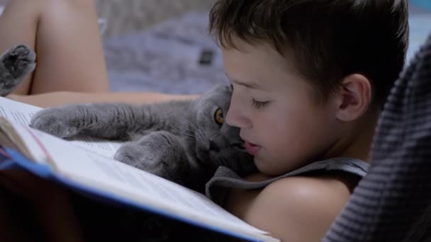 Niño serio con gafas sostiene al gato en brazos, lee un libro, sentado en silla en la habitación — Vídeos de Stock