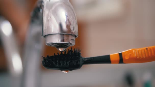 Drops of Water from Faucet Slowly Fall on Black Bristles Toothbrush. Close-Up — Stock Video