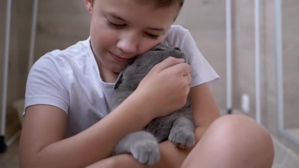 Smile Boy Sit On Floor, Hugs Gray British Cat, Plays. Amor a los animales de compañía — Vídeo de stock