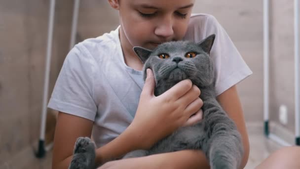 Lachen jongen zitten op de vloer, knuffels grijs Britse kat, speelt. Liefde voor huisdieren Dieren — Stockvideo