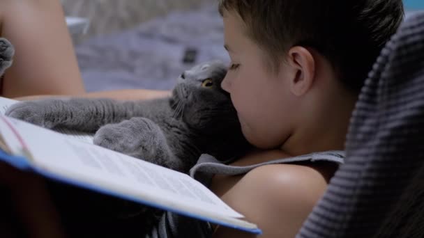 Sérieux garçon avec lunettes lecture un intéressant livre avec chat sur les mains à la maison — Video