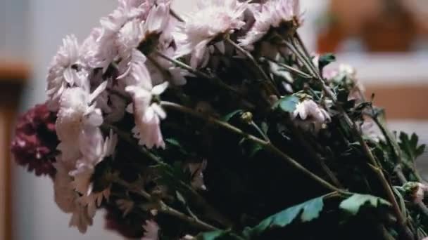 Hermoso y exuberante ramo de crisantemos blancos y morados en el interior del hogar — Vídeos de Stock