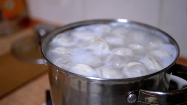 Preparación de albóndigas de China en la cacerola de agua hirviendo en la cocina casera. Primer plano — Vídeos de Stock