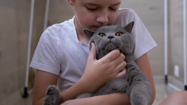 Lachen jongen zitten op de vloer, knuffels grijs Britse kat, speelt. Liefde voor huisdieren Dieren — Stockvideo