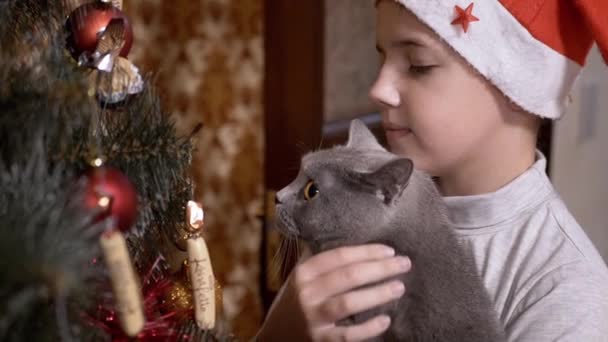 Мальчик в красной кепке осматривает игрушки на Рождество вместе с британской кепкой на руках — стоковое видео