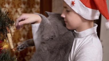 Kırmızı Şapkalı Çocuk Noel Ağacındaki Oyuncakları Ellerindeki İngiliz Kediyle İnceledi