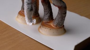 Firavun Yılanları, Kimyasal Deney Kalsiyum Glikonat Tabletleri, Kuru Ruh