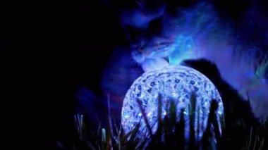 İki safkan İngiliz Kedisi Kokluyor, Karanlıkta Dönen Disko Topunu Yalıyor. 4K