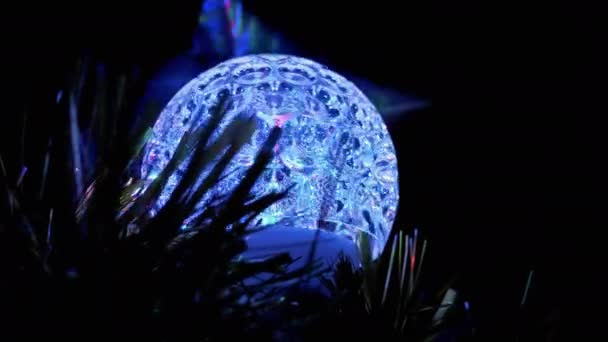 British Cat Hiding in Darkness Behind a Spinning Disco Ball, Ears Stick Out. 4K — Vídeos de Stock