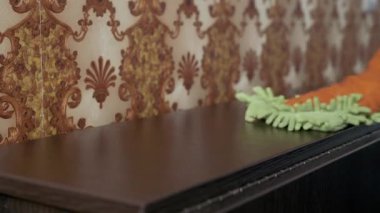 Plastik Eldiven Giyen Kadın El Mikrofiber Bez ile Tahta Yüzeyi Sildi