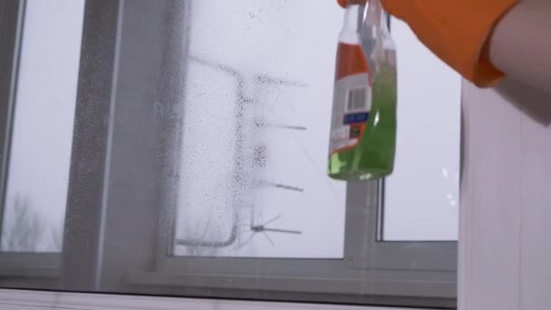ゴム手袋の女性の手消毒液のスプレーで窓を洗う — ストック動画