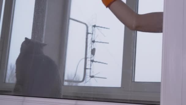 用喷雾消毒液冲洗橡胶护目镜窗上的女性手 — 图库视频影像