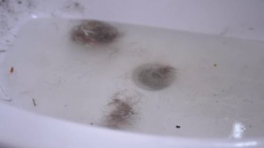 Lavabo saç, yün ve enkazla tıkanmış. Kanalizasyon tıkanması. 180fps