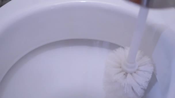 Weibchen in Gummihandschuhen bürsten eine weiße Toilettenschüssel, Spülwasser — Stockvideo
