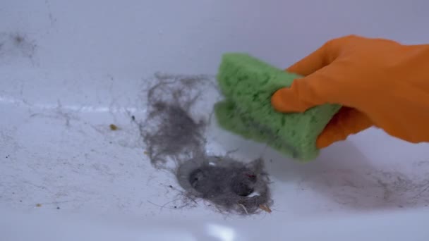 Female Hand in Rubber Gloves Removes Blockage in Sink with a Green Sponge. 4K — Stock Video