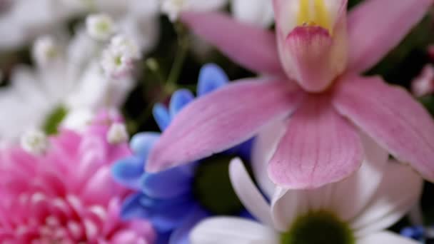 Brilhante, Buquê exuberante de crisântemos multicoloridos, orquídeas, margaridas. Zoom — Vídeo de Stock