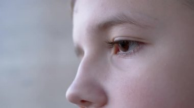 Güzel Kalın, Uzun Kirpikli, Kahverengi Gözlü Çocuk. Yan görüş. Yüzün Bir Parçası