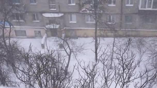 Tormenta de nieve pesada de invierno, nevadas en el patio del antiguo edificio de varios pisos. Zoom: — Vídeos de Stock