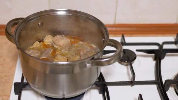 Simning bitar av fläskkött i en saucept på gas spår i tomatsås. Zoom — Stockvideo