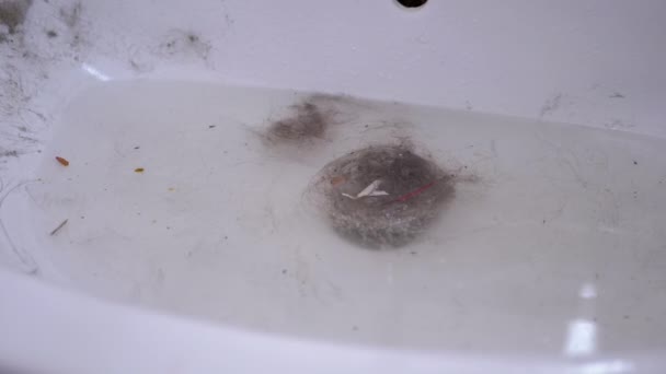Chiuvetă înjunghiată cu păr, lână, resturi în baie. Blocaj de canalizare. 180fps — Videoclip de stoc