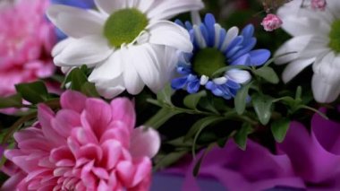 Parlak, Lush Buket of Multicored Chrysanthemums, Papatya. 4 bin. Yavaş çekim