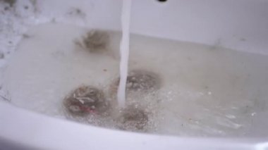 Su musluğundan akan su lavaboya akıyor. Saç, yün, çöp ile tıkanmış.