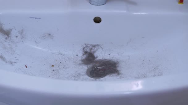 Sink Klädd med hår, Ull, Debris i badrummet. Avloppsblockering. Zoom — Stockvideo