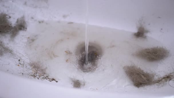 Running Water from Water Tap Flows into a Sink Clogged with Hair, Wool, Trash — Stock Video