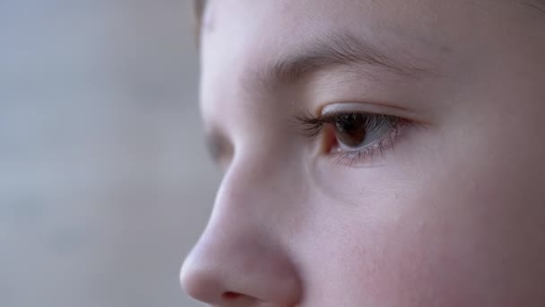 Child with Beautiful Thick, Long Eyelashes, Brown Eyes. Side view. Part of Face — Stock Video