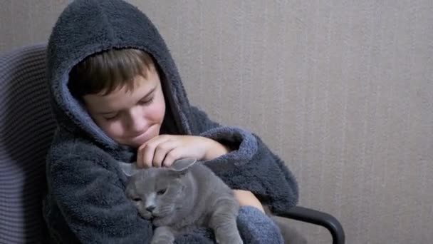 Teenage Boy in Μπουρνούζι Sitting in Chair a Hugging, Stroking a Gray British Cat — Αρχείο Βίντεο