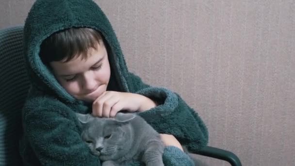 Nastolatek chłopiec w szlafrok siedzi w krzesło a przytulanie głaskanie a szary brytyjski kot — Wideo stockowe
