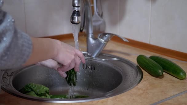 Mulher lavando pepinos verdes com água corrente de uma torneira em uma cozinha moderna — Vídeo de Stock