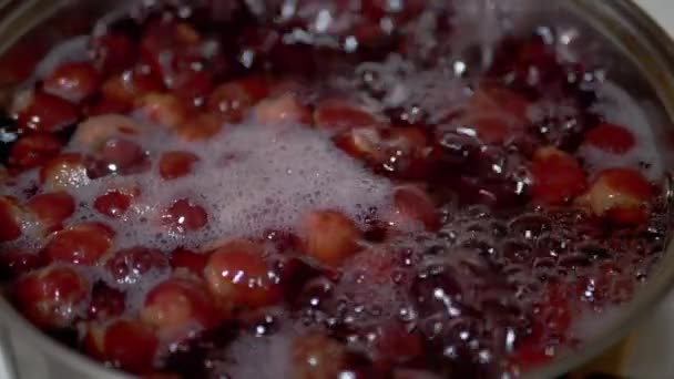 냉동 체리 에서 비타민 코포 테 를 요리하는 일, 가정 키친 의 블랙베리. — 비디오