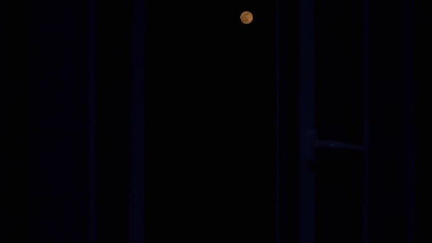 Full Bloody Moon Rises in the Dark Sky at Night. Full Moon. Zoom — Stock Video
