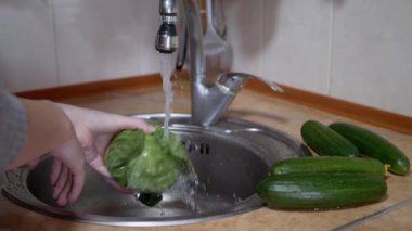 Dişi Yıkama Yeşil Lahanası, Mutfaktaki Musluktan akan suyla salatalıklar