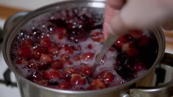 Cooking Compote, Punch from Frozen Cherries, Blackberries in Home Kitchen — стокове відео