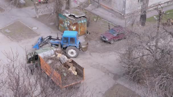 Traktor med stor hink, lastade träd, stubbar i en lastbil, lastbil. 4K — Stockvideo