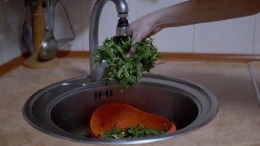 Dişi Eller, Arugula Yaprakları 'nı Lavabo' da bir soğutucuda yıkadı. Yavaş çekim