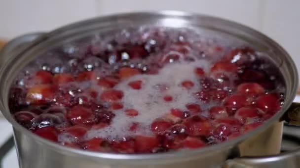 Cuisiner la compote de vitamines à partir de cerises congelées, mûres dans la cuisine maison. 4K — Video