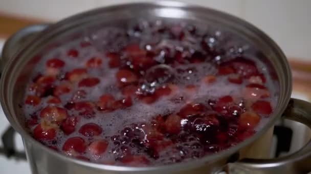 Cuisiner la compote de vitamines à partir de cerises congelées, mûres dans la cuisine maison. — Video