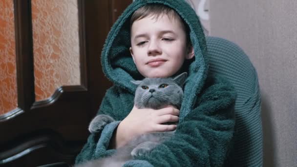 Teenage boy v županu sedí v křesle objímání, hladí šedou britskou kočku — Stock video