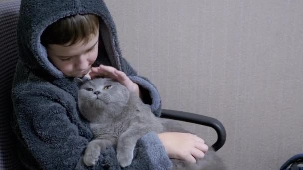 Мальчик-подросток в халате сидит в кресле и обнимается, гладит серого британского кота — стоковое видео